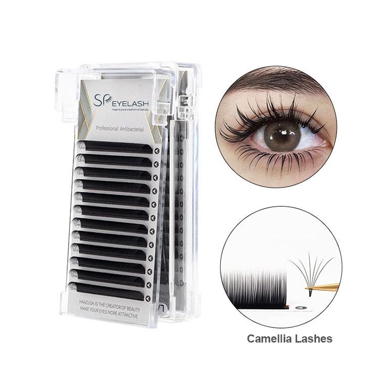 0,07 Camellia Lash Cray